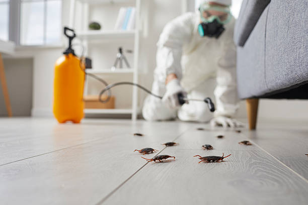 Commercial Kitchen Cockroach Control in Clawson